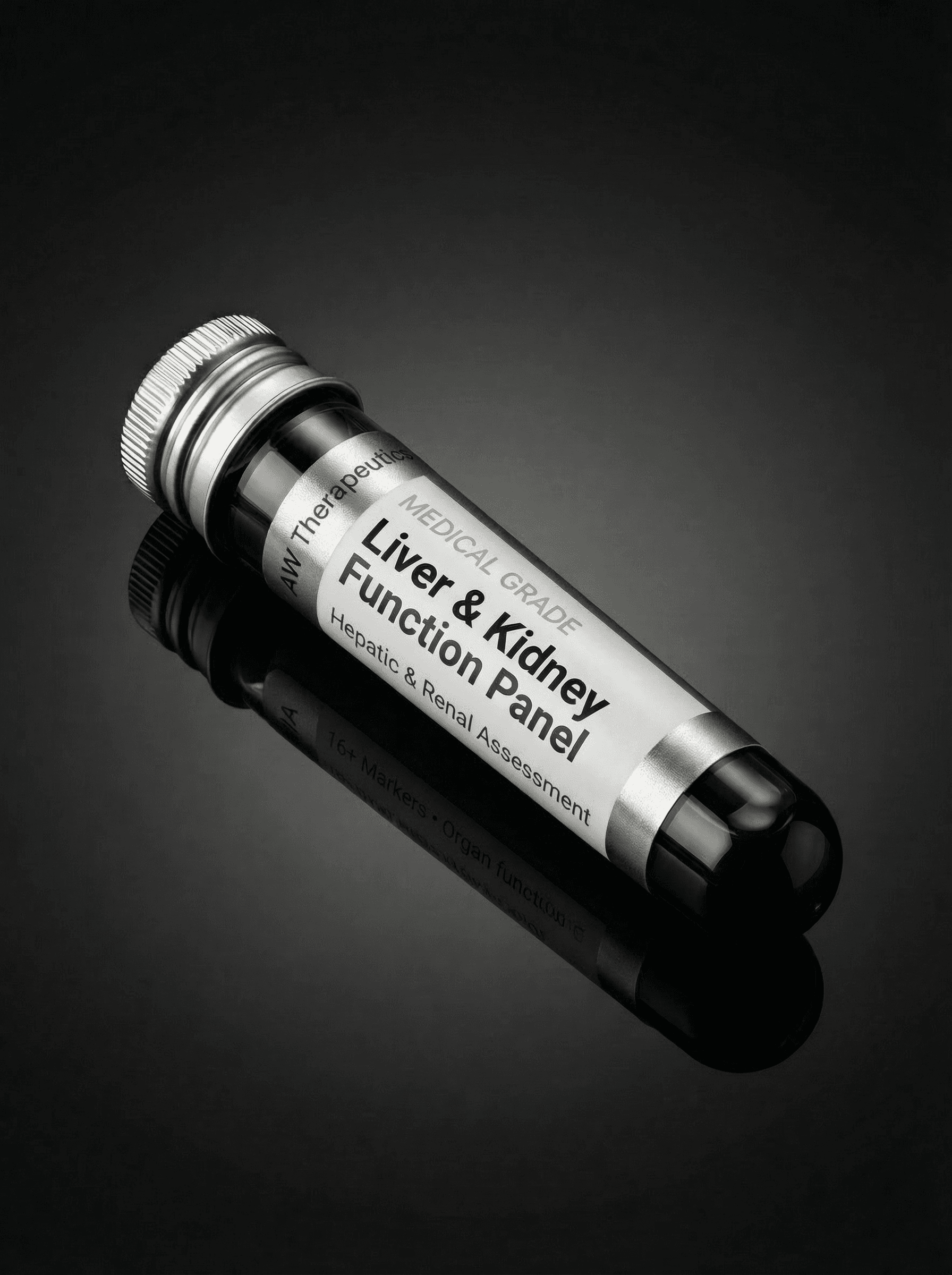 Liver & Kidney Function Panel